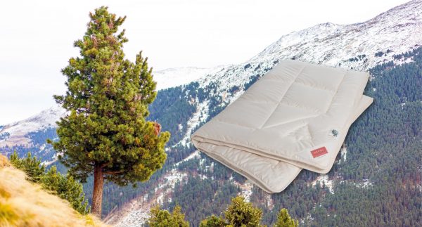 HEFEL Wellness Zibre Bettdecke – Ganzjahresdecke & Winterdecke aus Schafwolle und Zirbe, in verschiedenen Größen – Bild 3